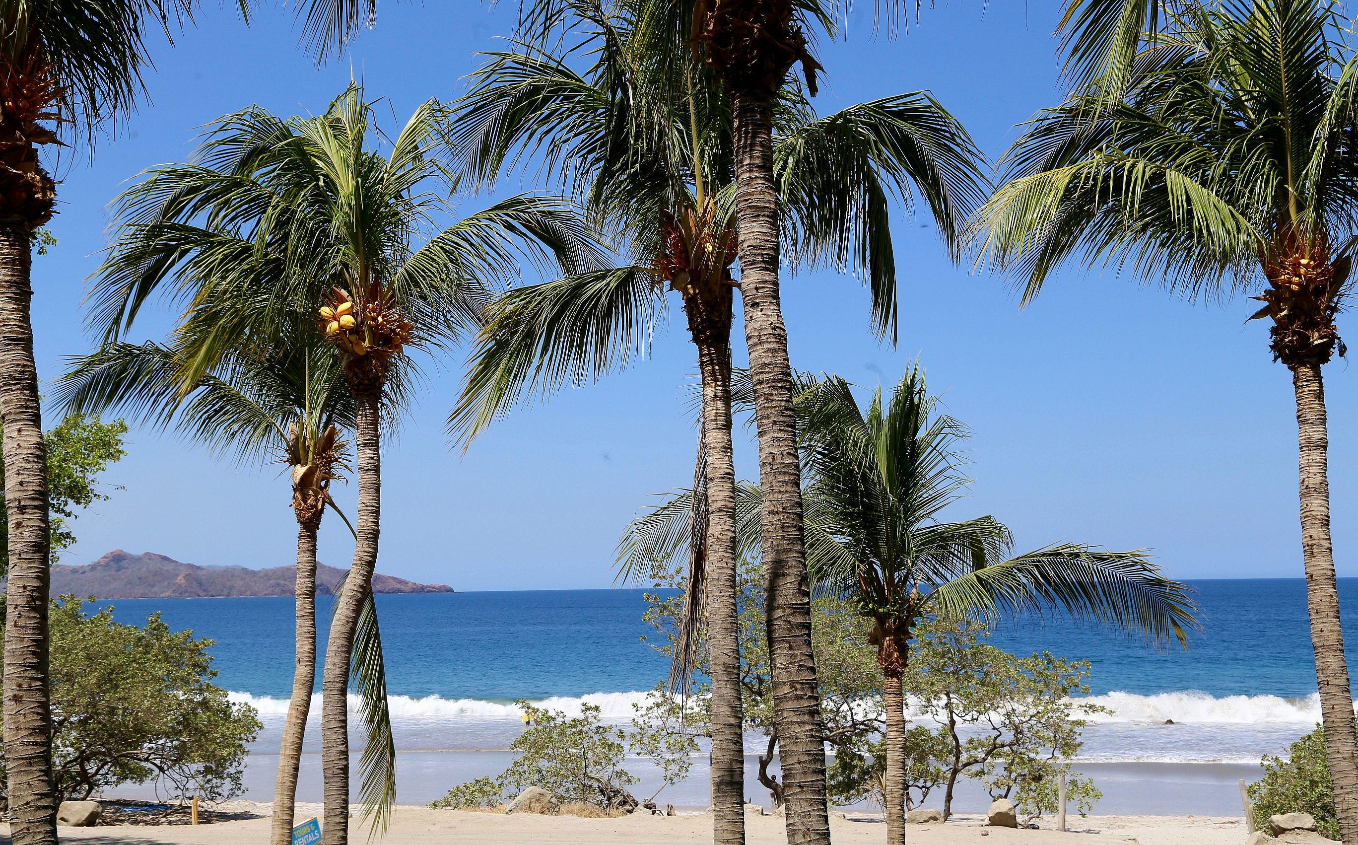 Margaritaville Beach Resort Playa Flamingo Buitenkant foto